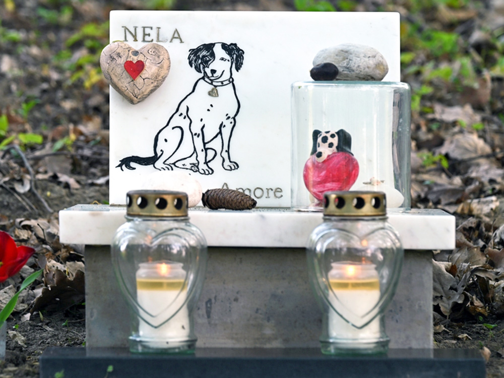 Dog memorial outside.