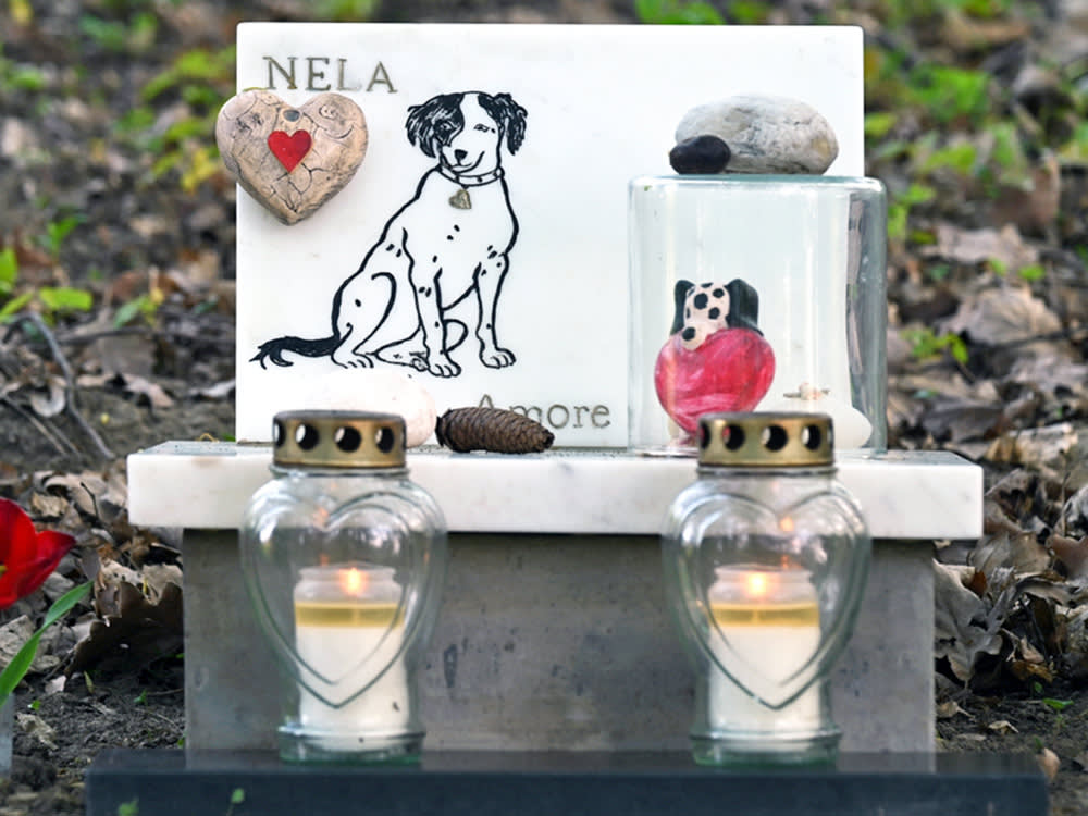 Dog memorial outside.