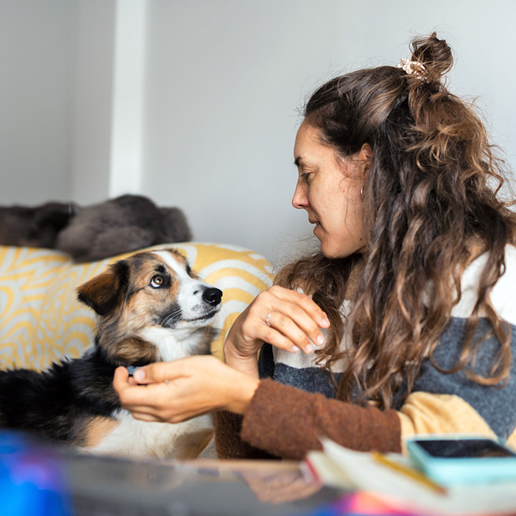 Woman giving her dog a funny look at home.