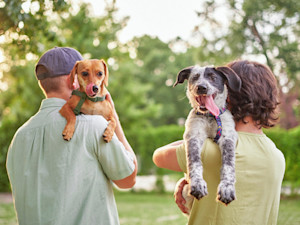 Two men carrying their puppies outside in the park.
