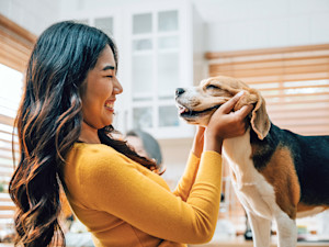 Woman looking into her Beagle dog's eyes.