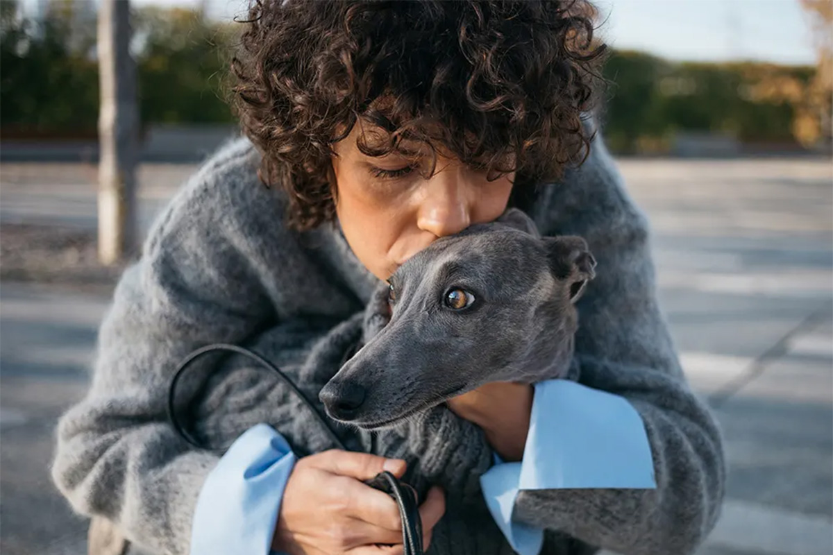 a pet parent kisses their dog