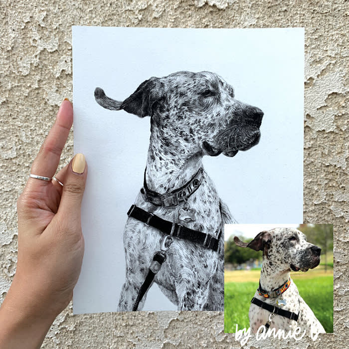 a charcoal pet portrait of a spotted dog