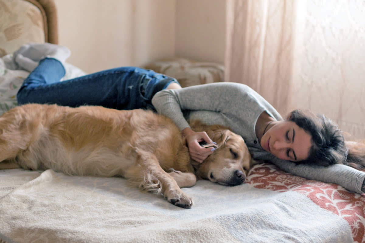 person sleeping with dog in be