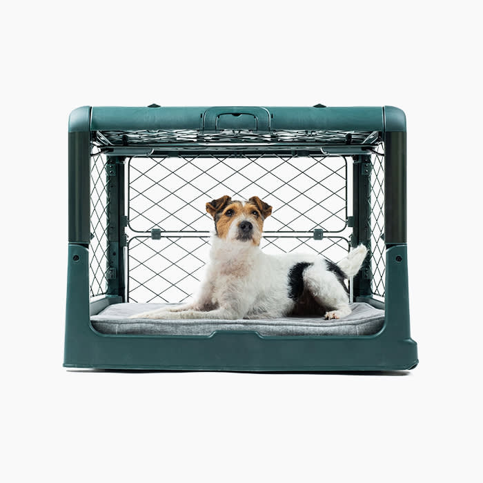 the diggs crate for dogs in green