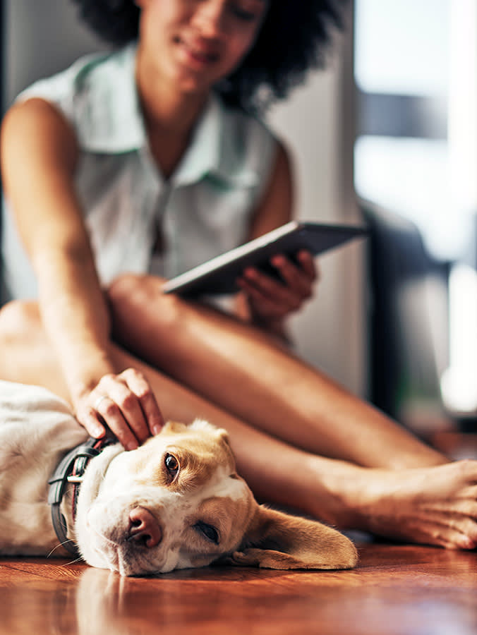 Woman petting her dog while on her tablet at home.