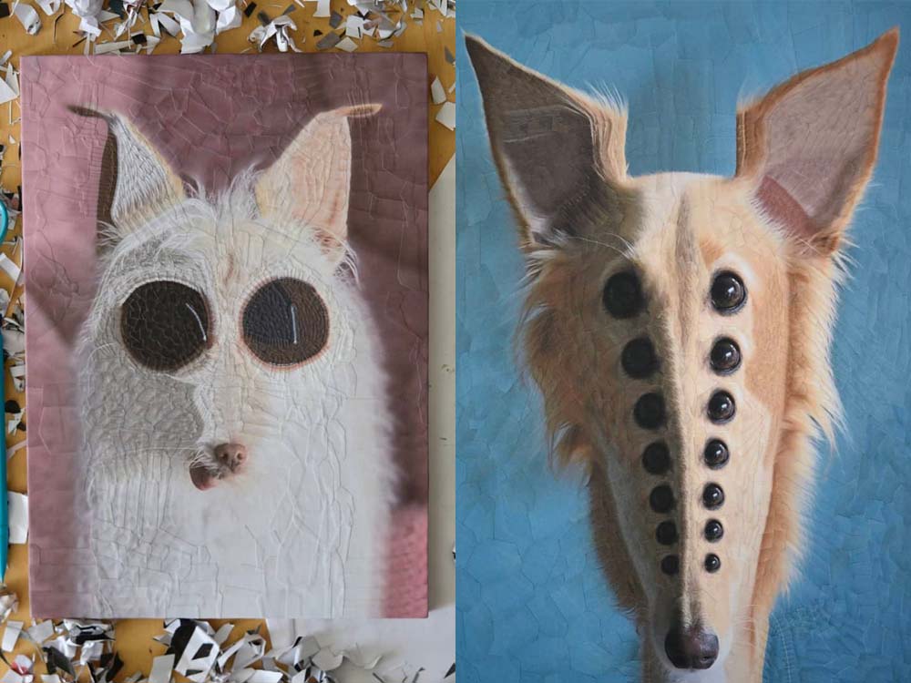 collages of dogs with multiple eyes