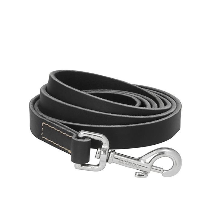Frisco Top Grain Leather Leash in black