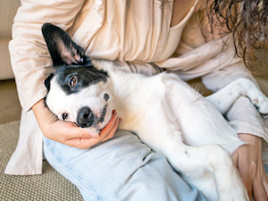 Woman cuddling her dog at home.