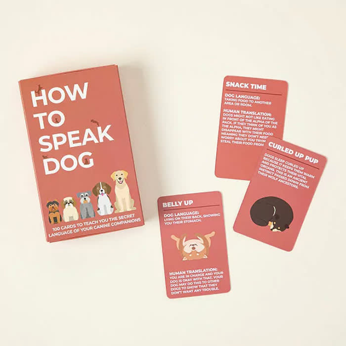 Uncommon Goods How to Speak Dog cards
