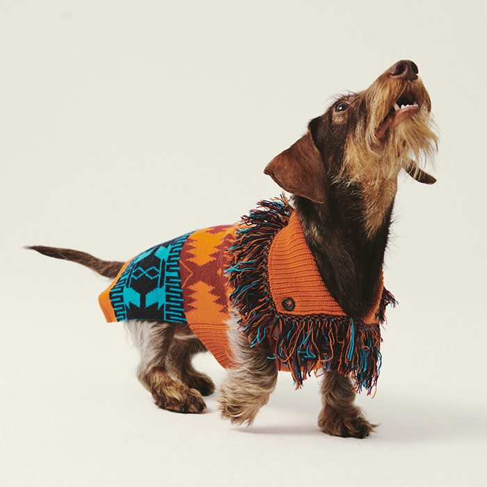 Alanui X Poldo Dog Couture Sweater
