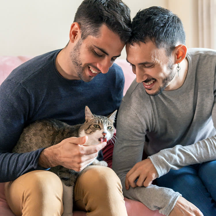 two men with black hair stroke their cat who is sticking his tongue out