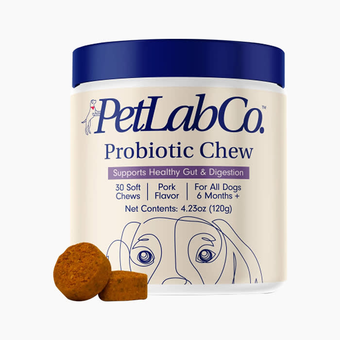 dog probiotic chews in off white tub with navy lid