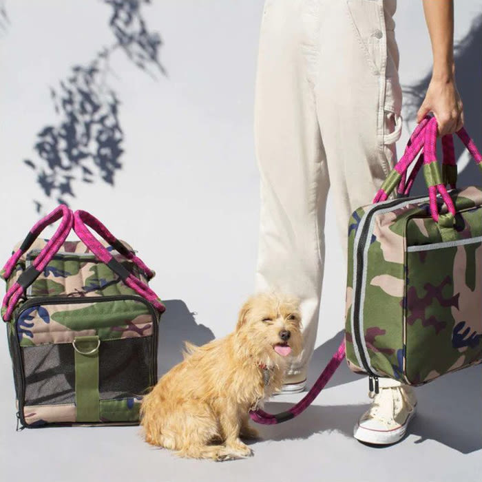 terrier dog with camo bags