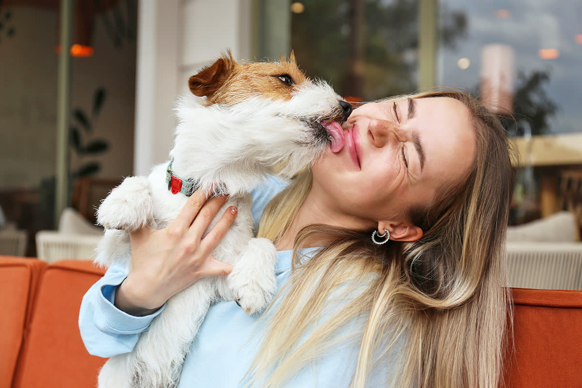 Dog licking a person's face