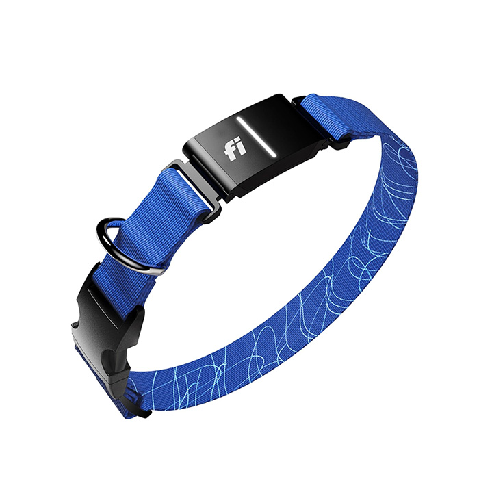 Fi Series 3+ Smart Dog Tracker Collar