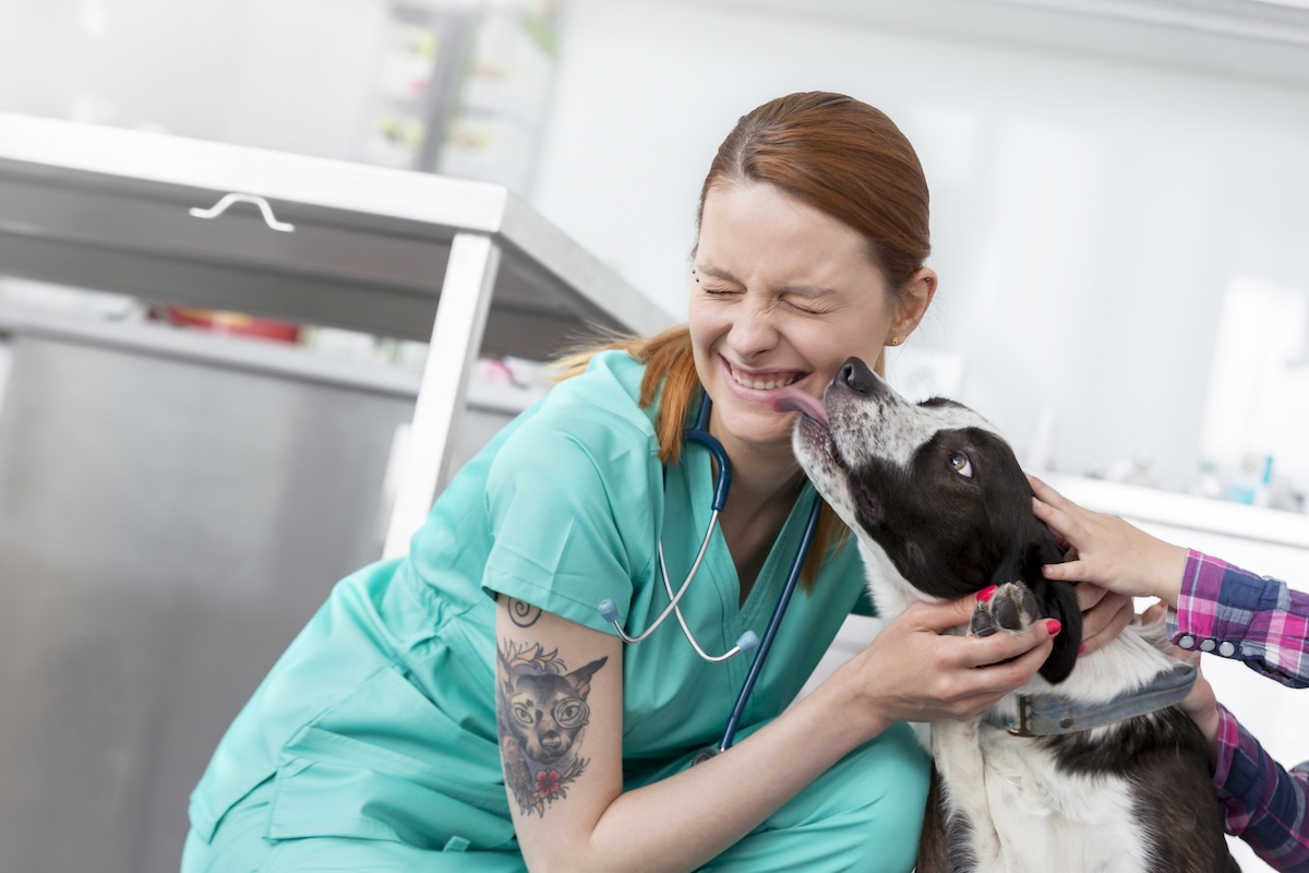 a picture of a woman vet with a tattoo being licked by brown and white dog