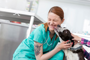 a picture of a woman vet with a tattoo being licked by brown and white dog