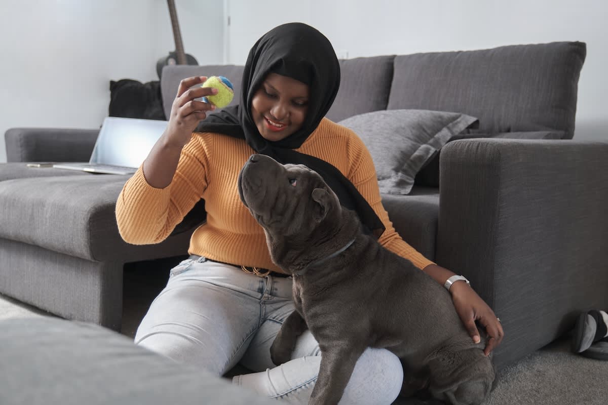 a picture of a young black woman wearing a headscarf playing with a grey dog