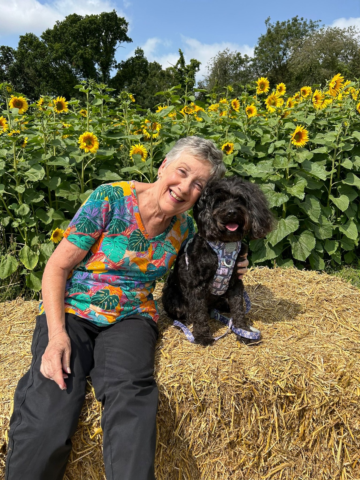 a picture of a woman in a colourful t shirt hugging a dog in front of some sunflowers