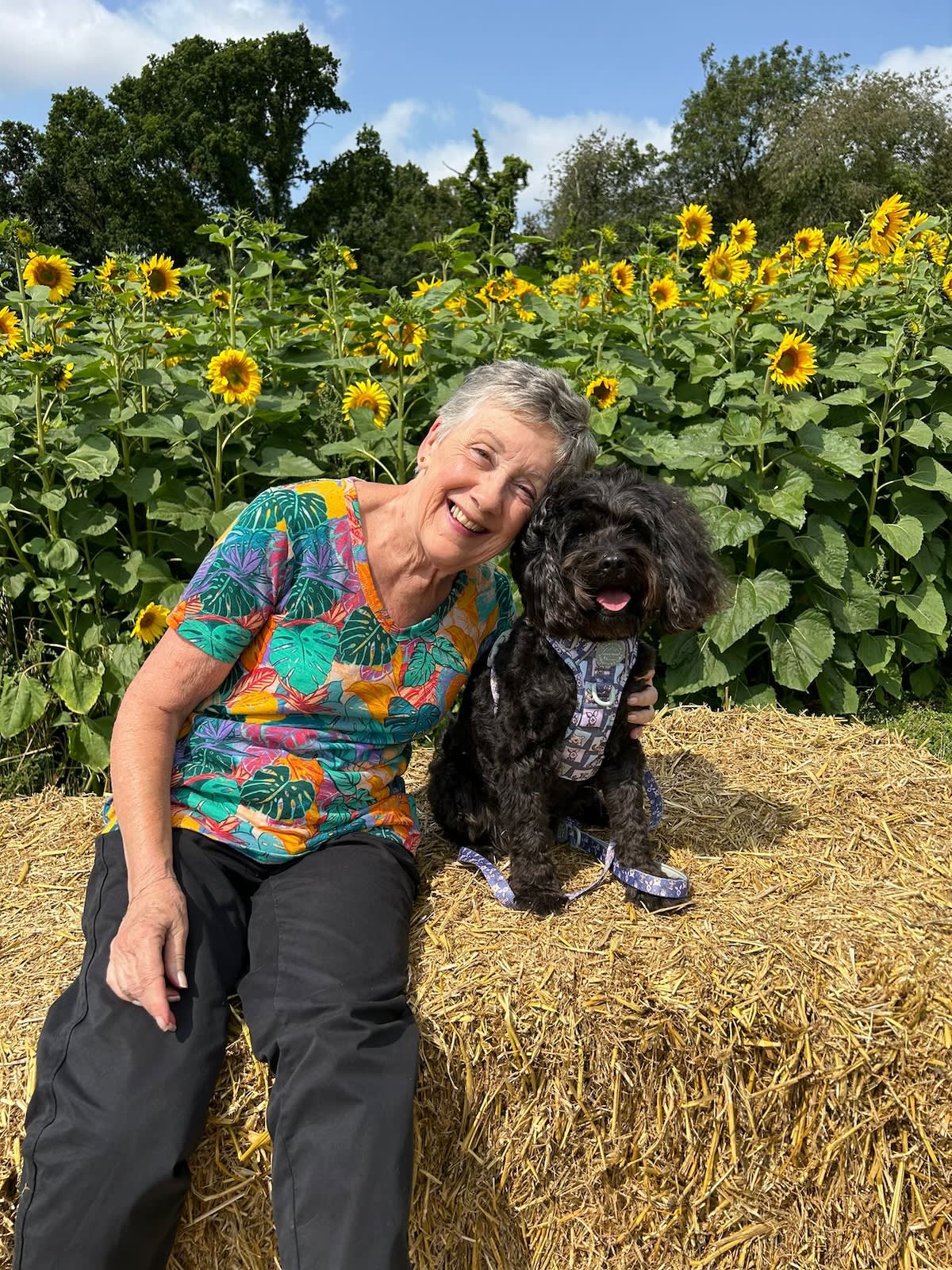 a picture of a woman in a colourful t shirt hugging a dog in front of some sunflowers