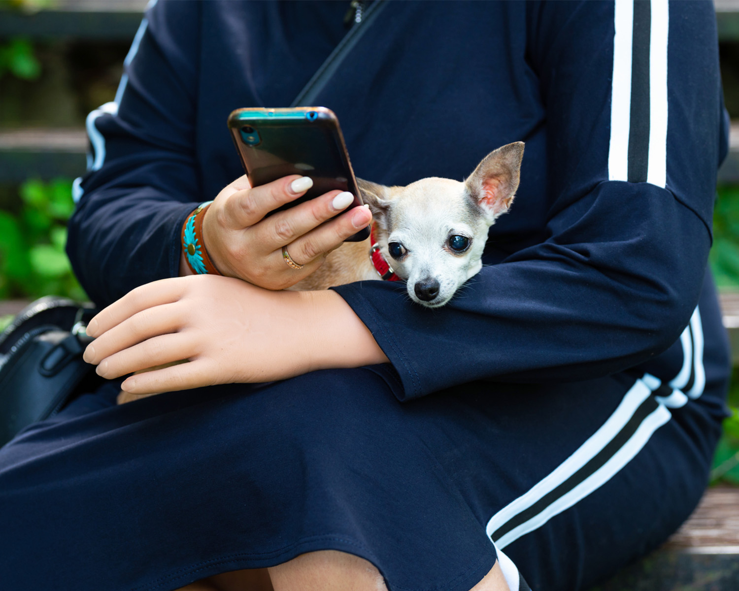 person using a phone and holding a dog