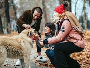 Group of friends greeting a dog outside.