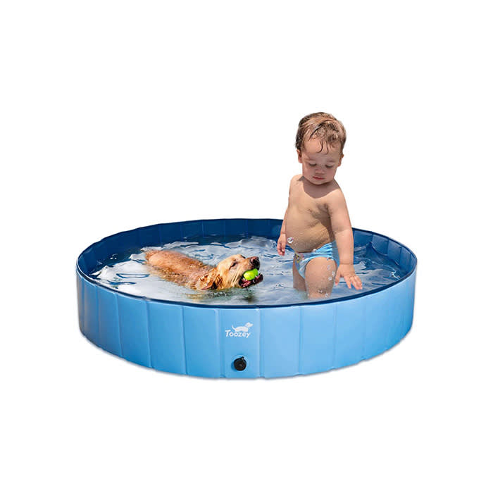 doggy pool
