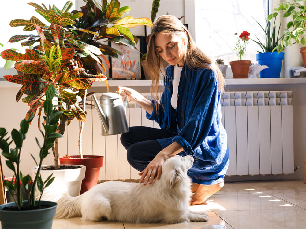 eco-friendly pet parent pets down inside of indoor garden