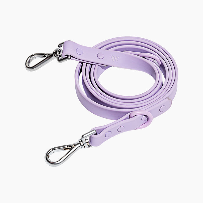 the Wild One All-Weather Leash in purple