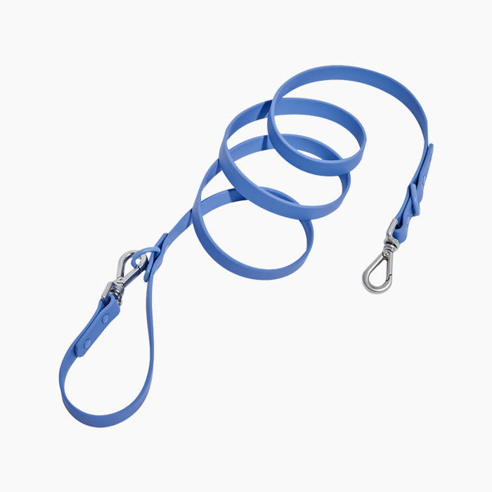 the Wild One All-Weather Leash in blue
