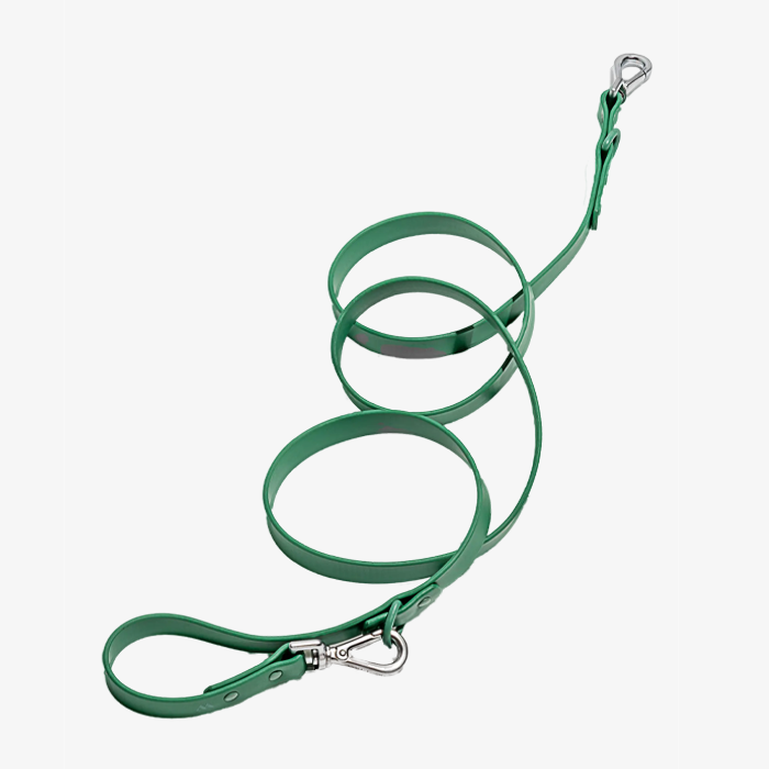 the Wild One All-Weather Leash in green