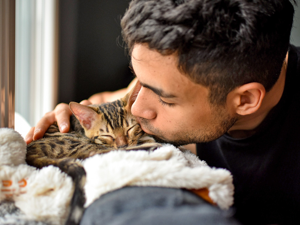 man cuddling a kitten 