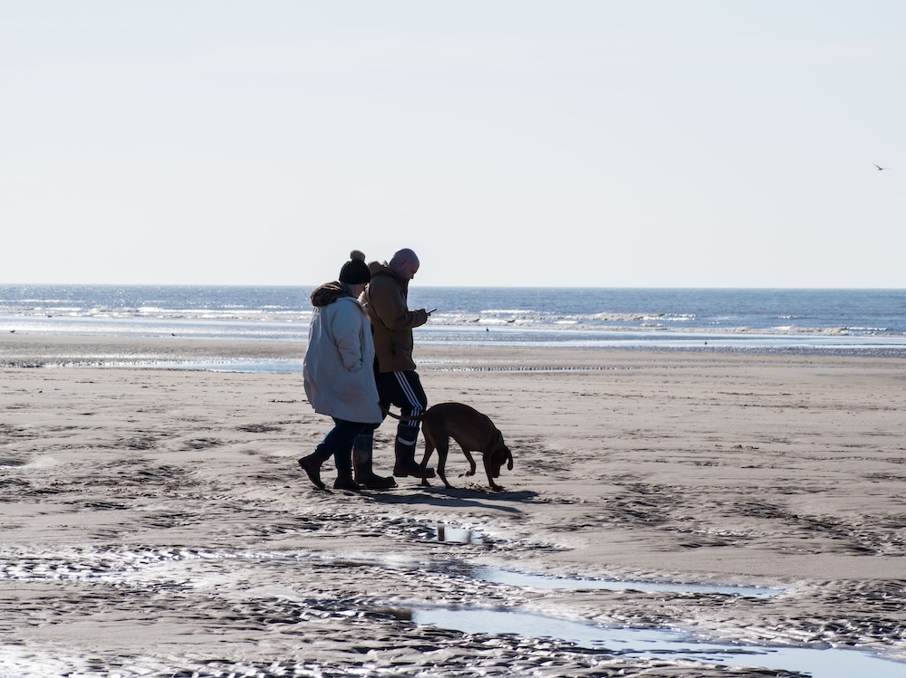 two people and a dog walk along an English beach wearing coats