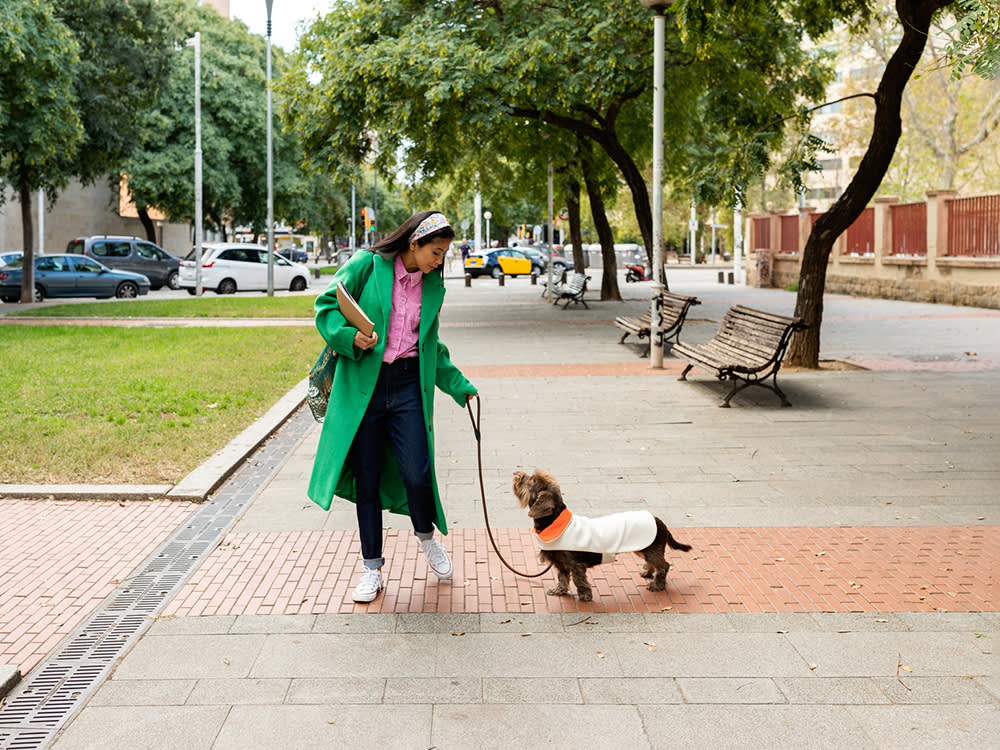 Trendy woman in a green coat walking her cute dog in a white jacket in public