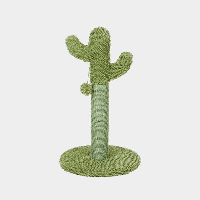 the cactus scratching post 