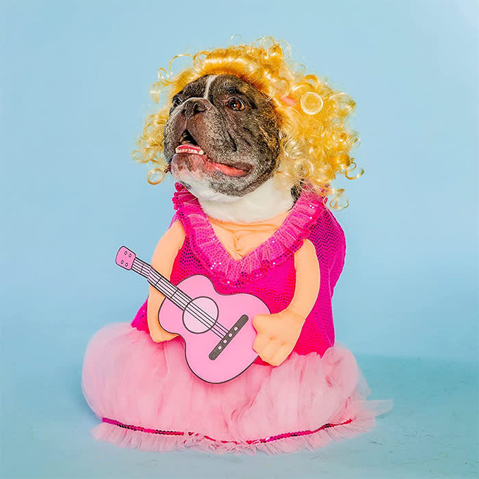 Doggy Parton Pink Dress, Guitar & Wig Set 
