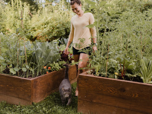 Woman gardener with cat in garden.