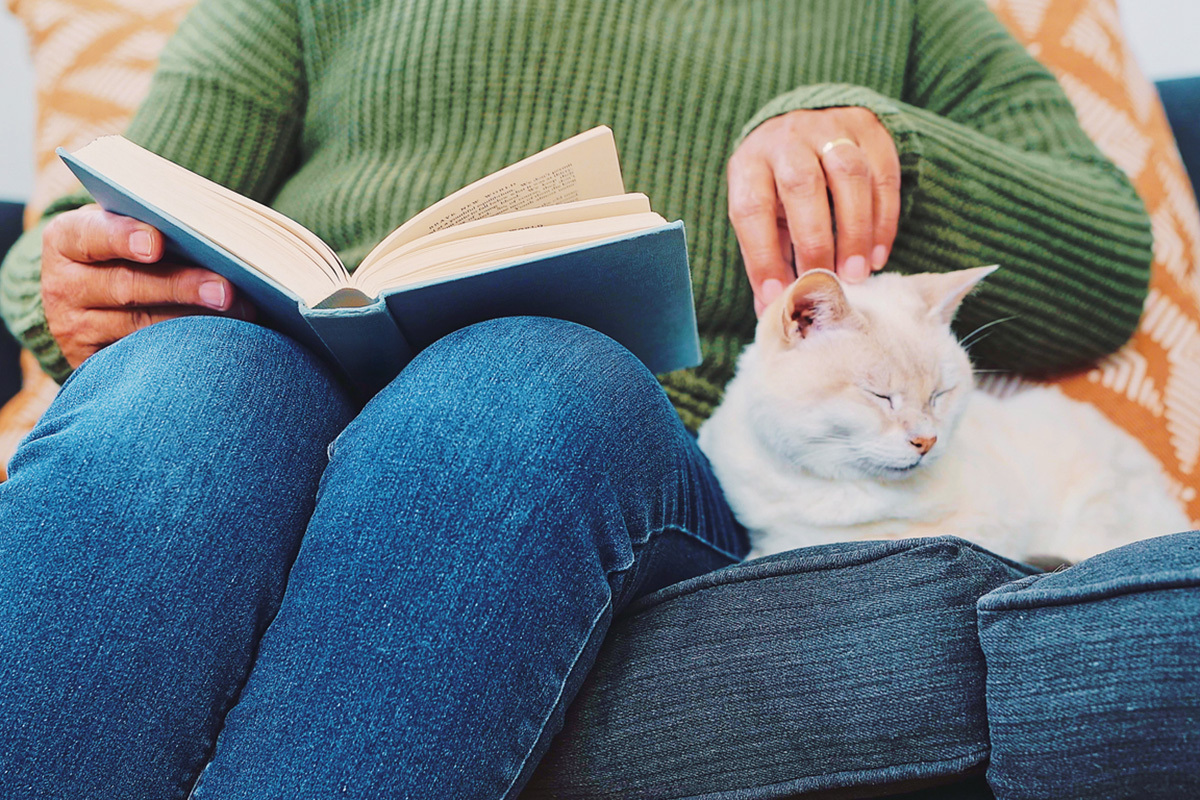 person petting cat while reading