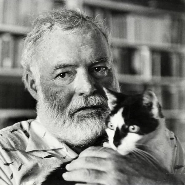 Hemingway with a cat