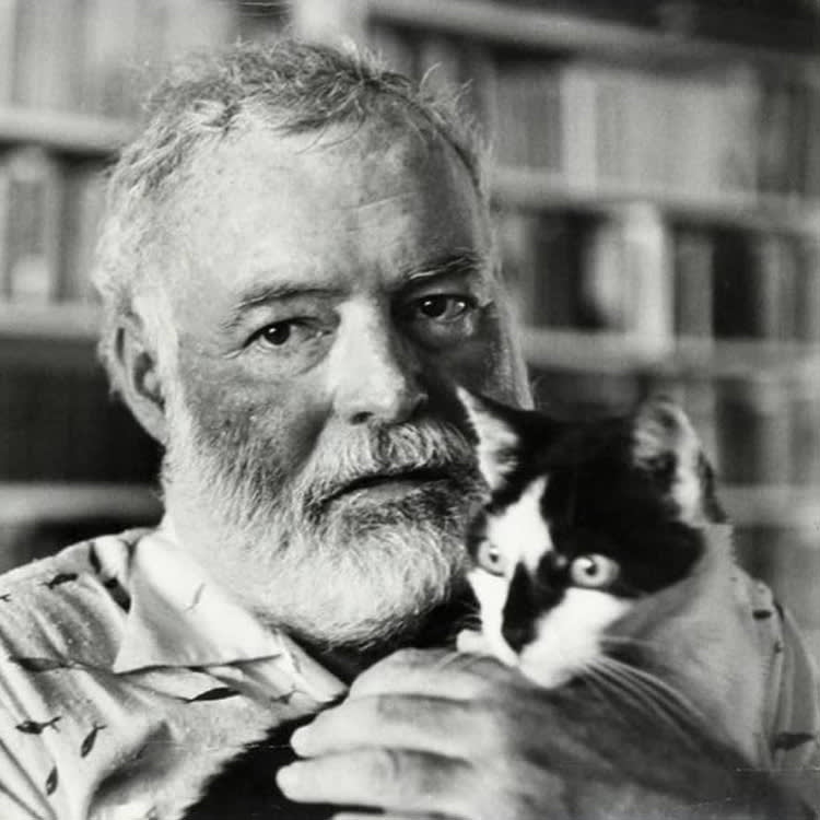 Hemingway with a cat