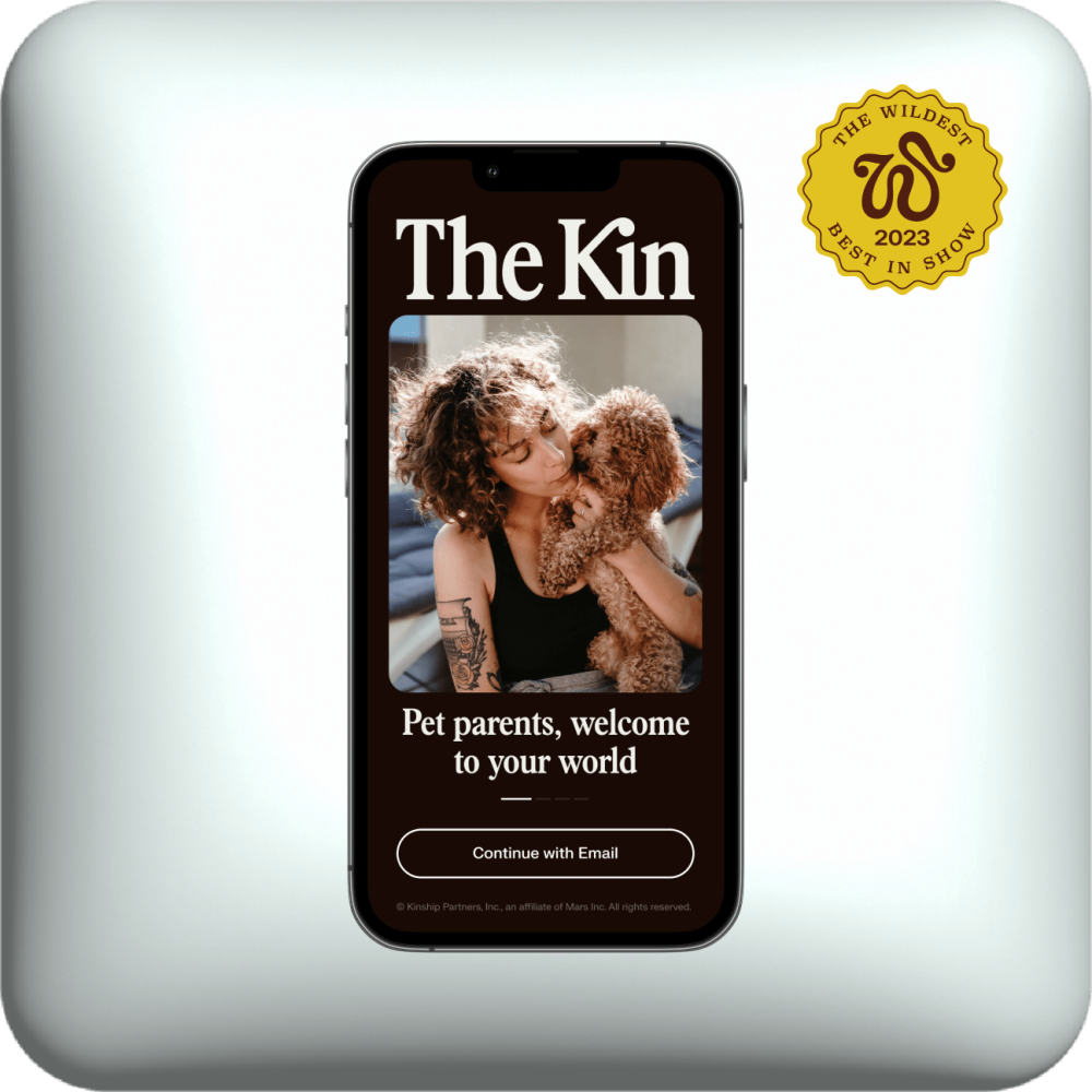 The Kin app 
