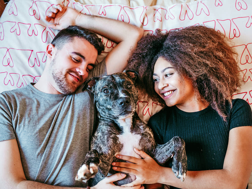 Happy couple and their pit bull dog together.