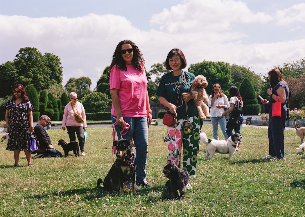 two women stand in a park with their dogs
