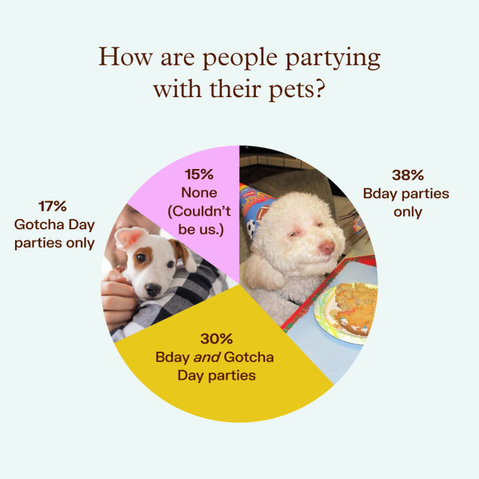 wildest managing relationships with pets survey results