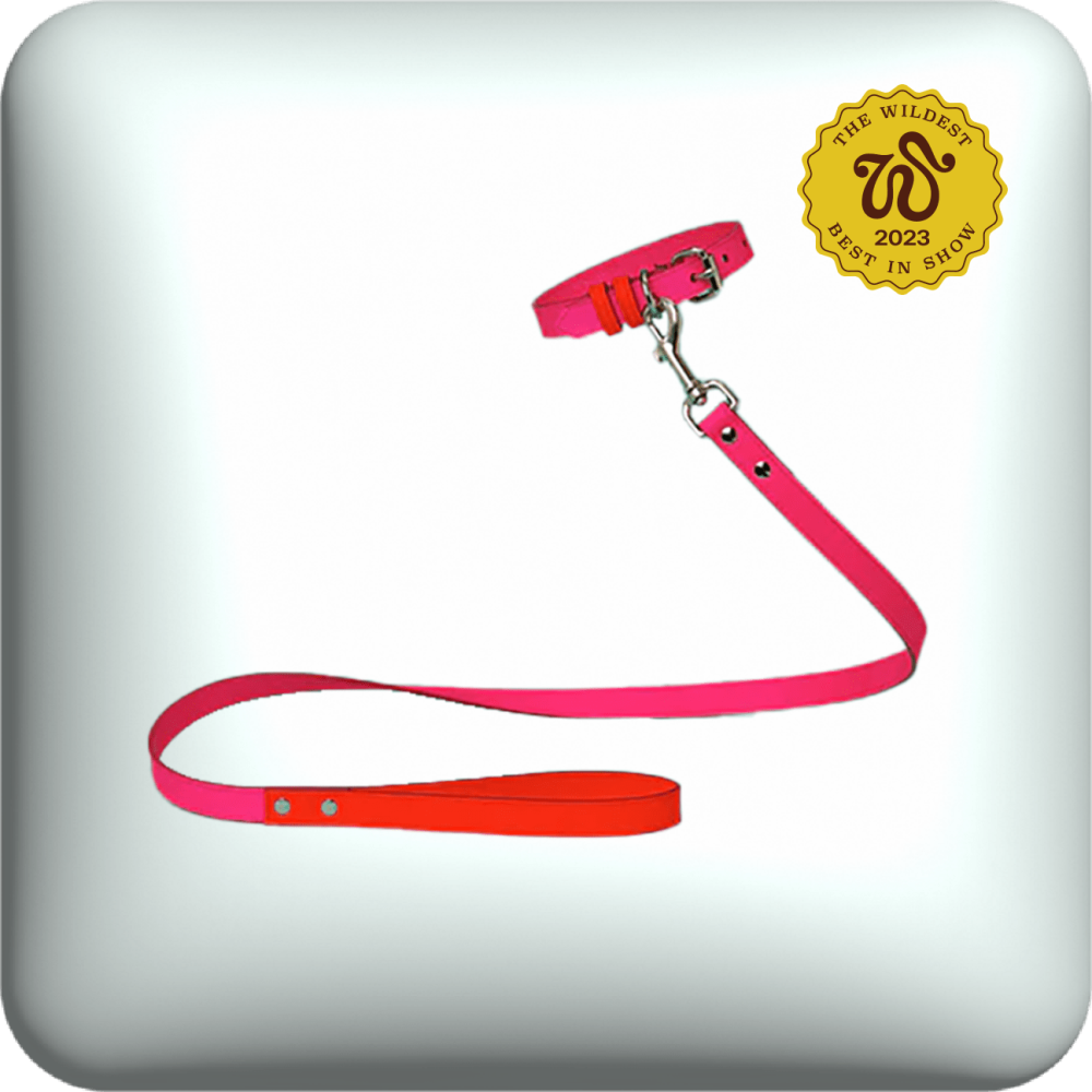 ware of the dog leather leash