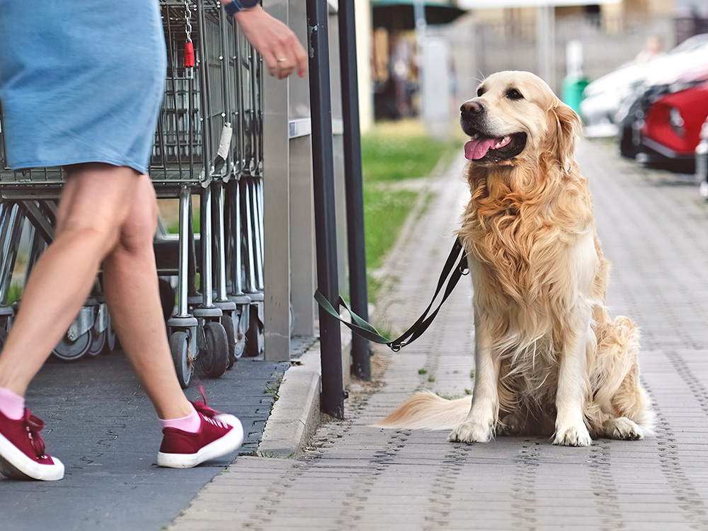 Woman approaching her dog that she tied outside a store.