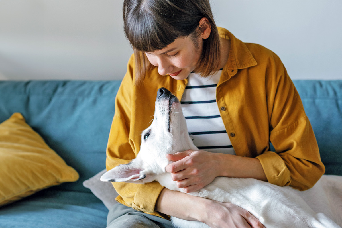 dog looking up at a person