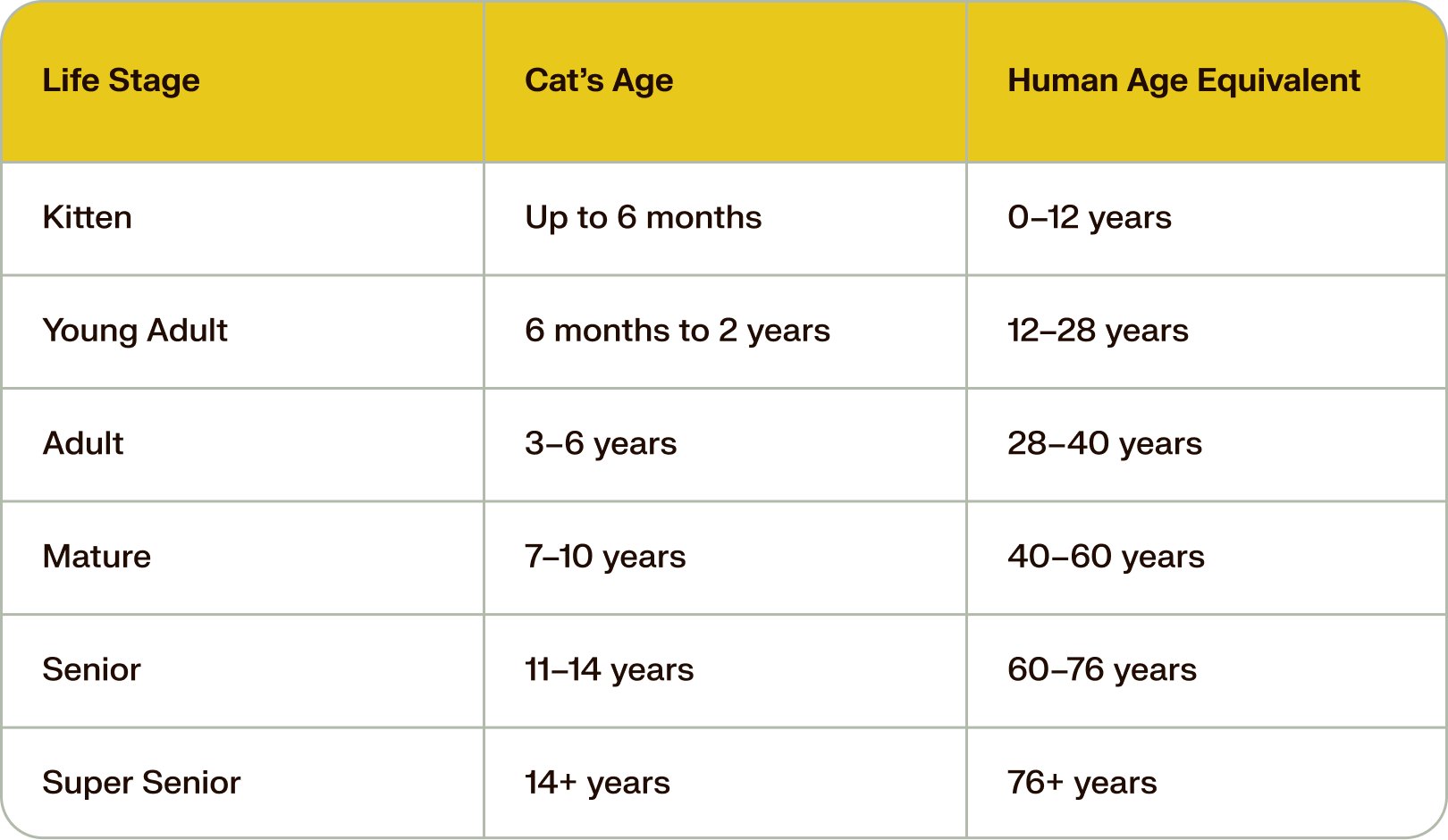 cat age chart