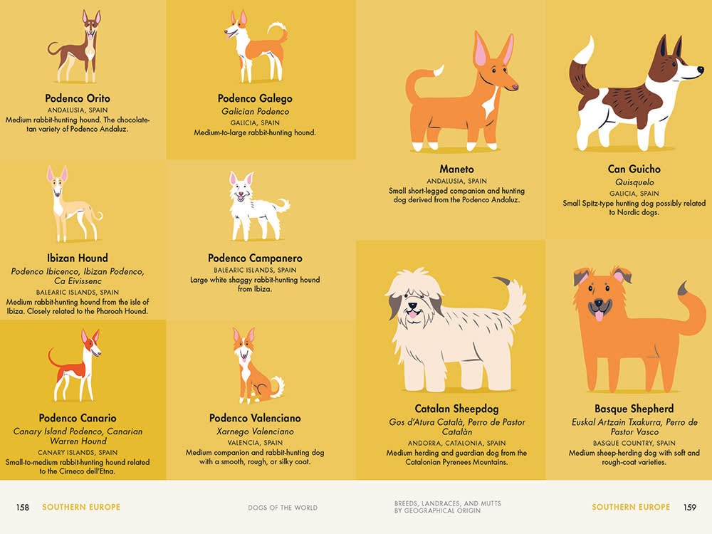 Lili Chin illustrations of Southern European dogs